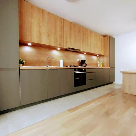 Apartment Downtown Monarch Timisoara